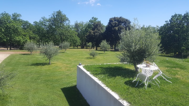 Villa Contemporaine Dans Un Parc De 5 Hectares - Corsica
