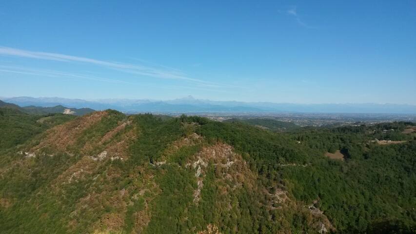 Montaldo