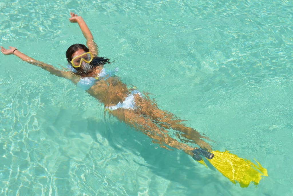 Snorkelling one of the top 3 things to do while on island - Poinciana Place 2 Bed, 2 bath rental - Providenciales