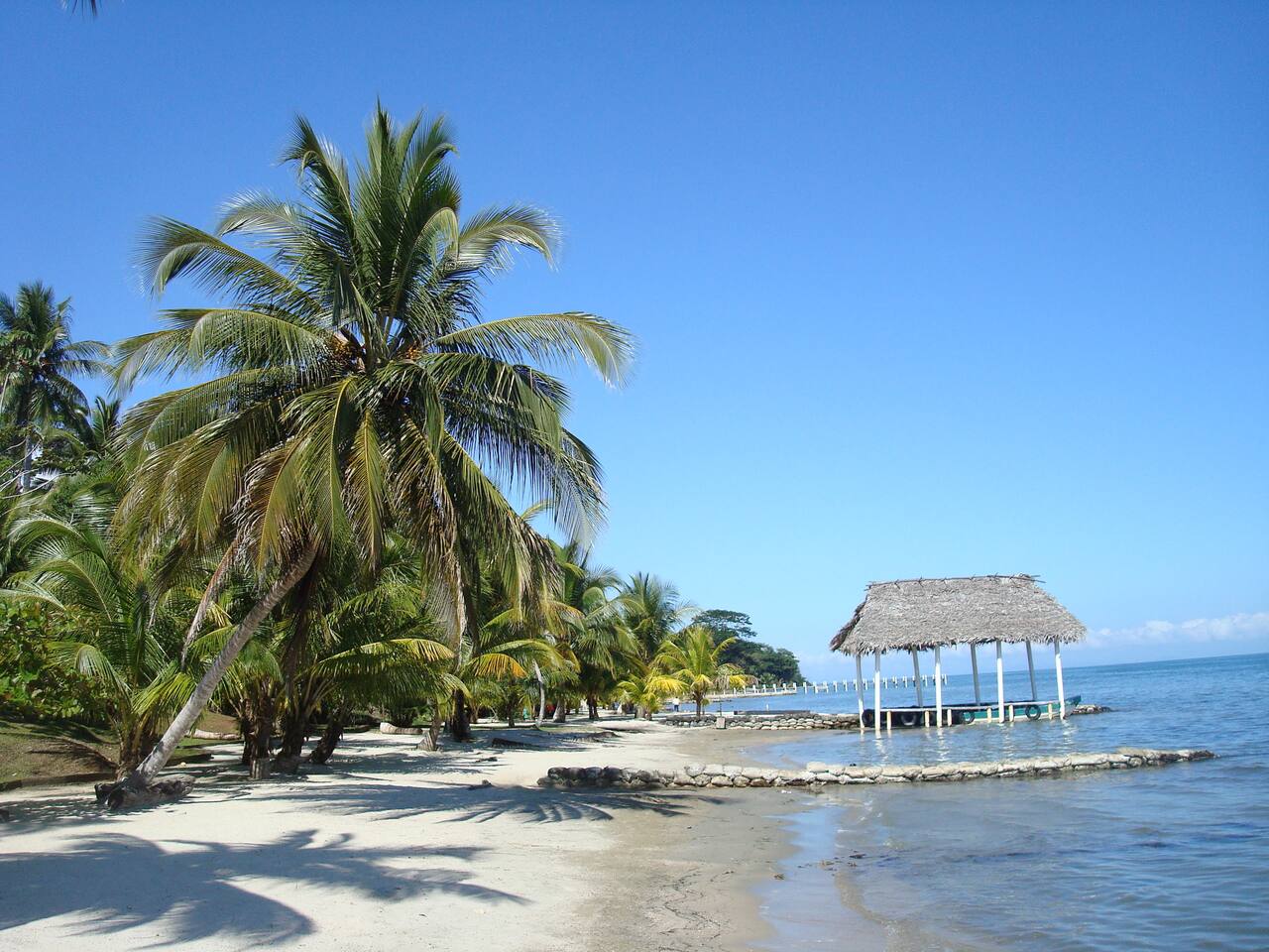 Punta De Palma Espectacular Bungalows En Renta En Livingston