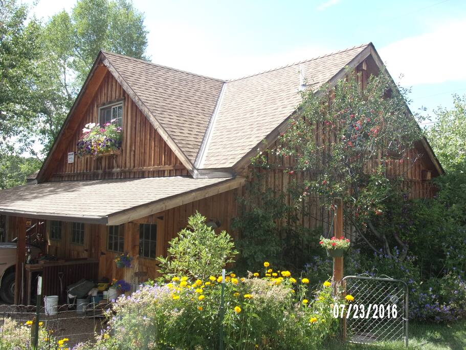Landscaped Yard