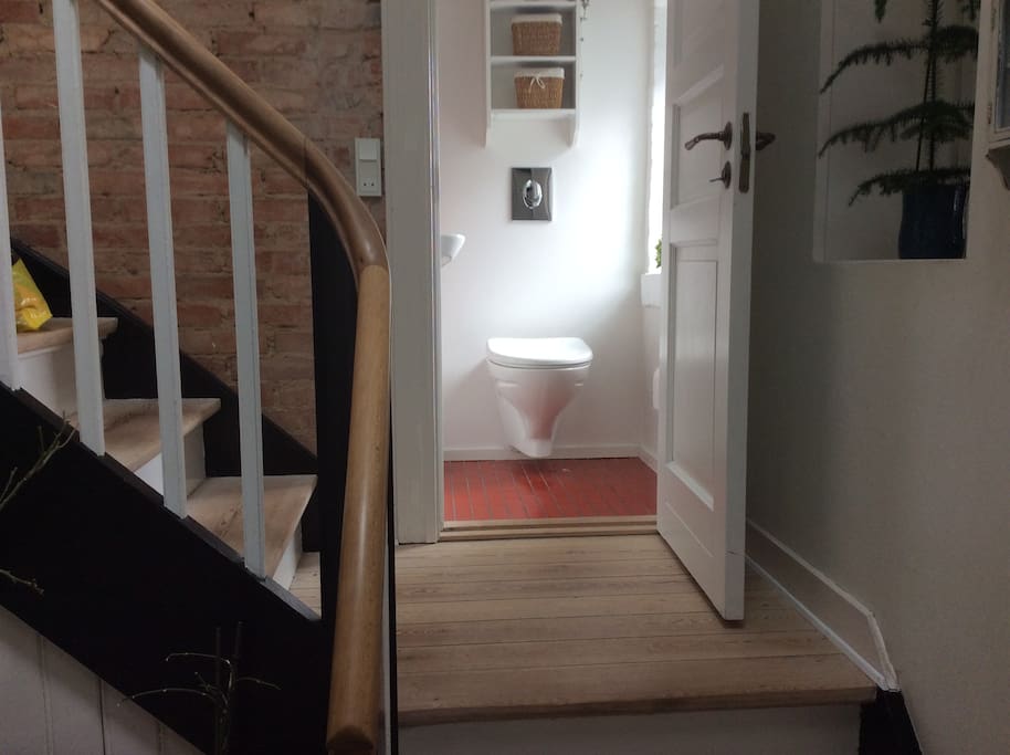 Toilet without a shower