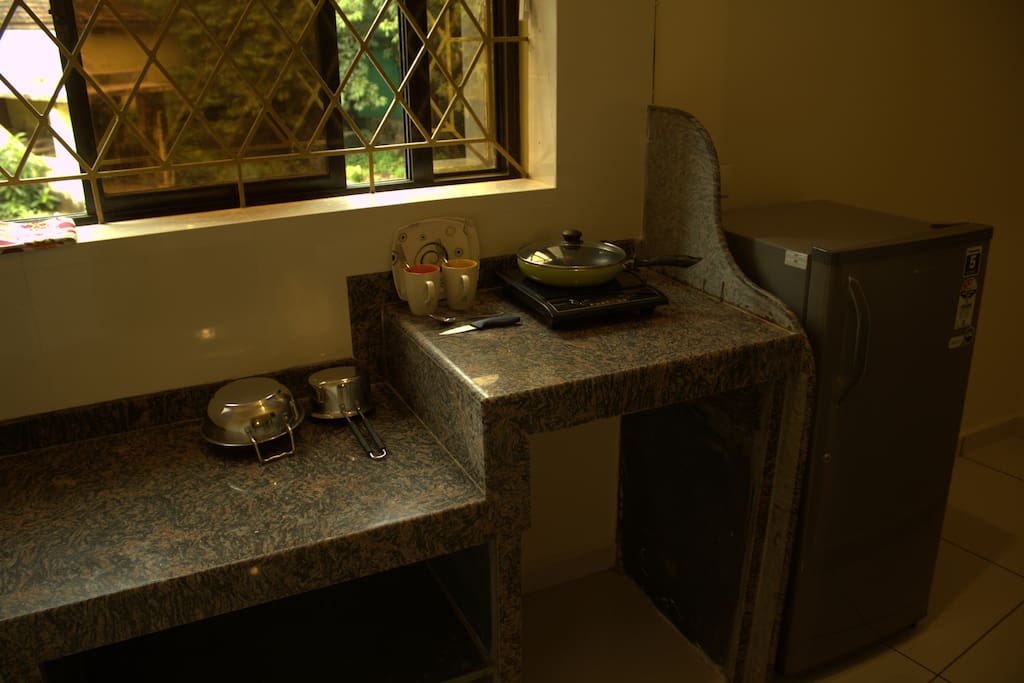Kitchenette with fridge and other amenities