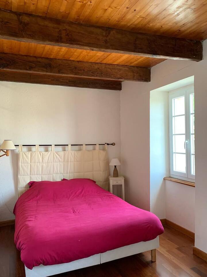 Habitación 1