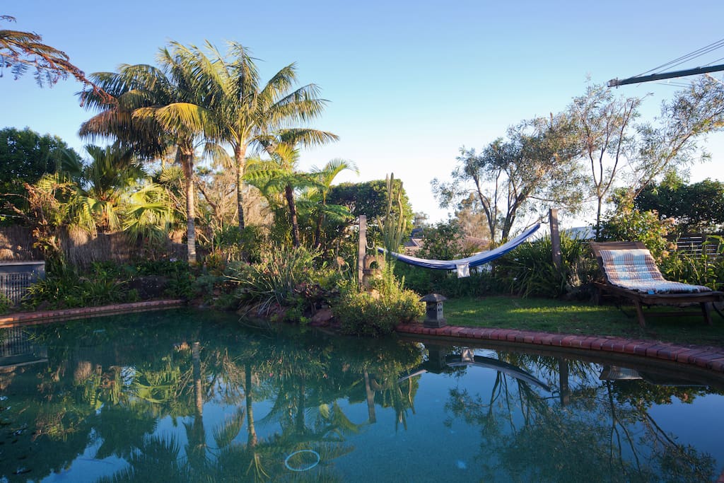Pool area with hammock
