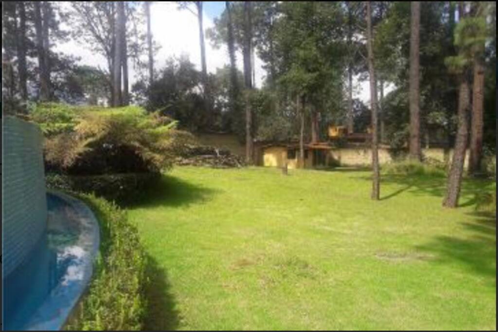 1000 más de Jardín para actividades
