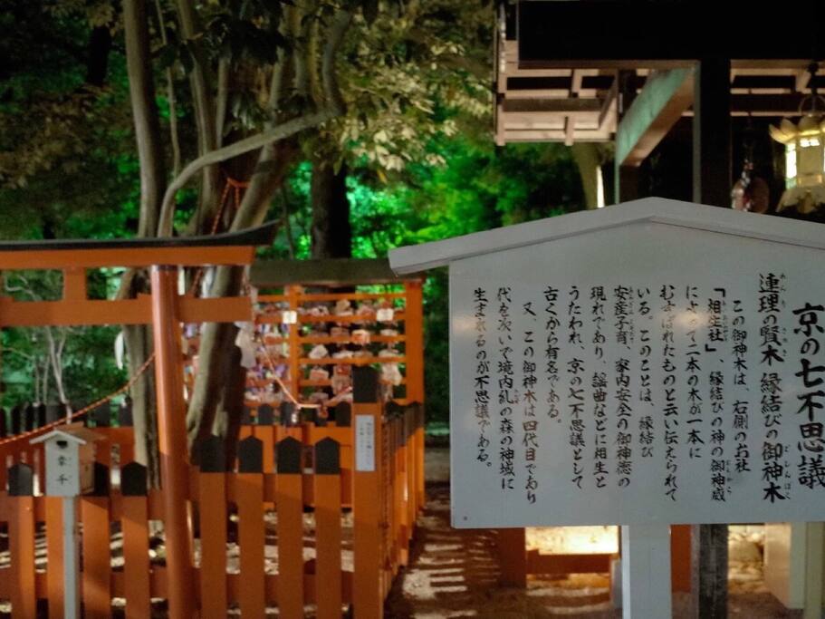 Travel 京都 在森林邂逅一场萤火姻缘 京都旅游攻略 尽在airbnb爱彼迎