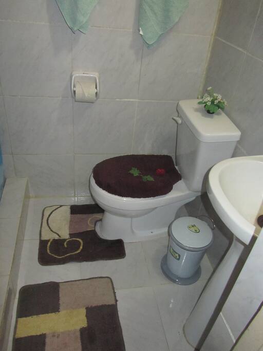 Baño privado dentro de la habitacion.