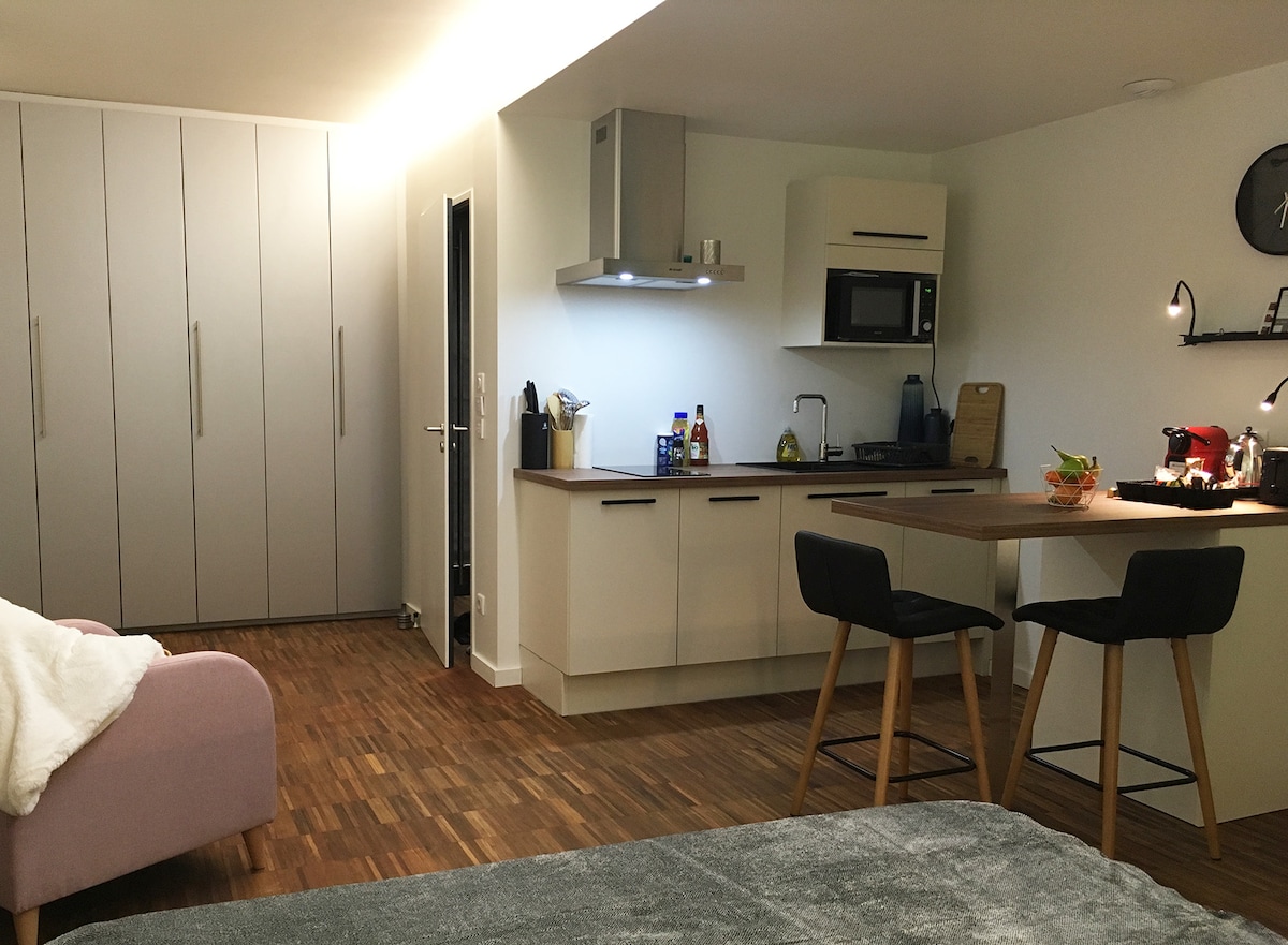 Propriété Airbnb réussie: Comfortable studio 1-2p RDC 8 minutes from Place Stanislas à Nancy