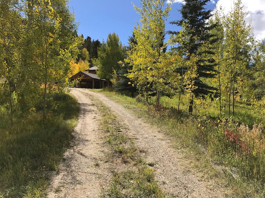 Driveway to Lodge