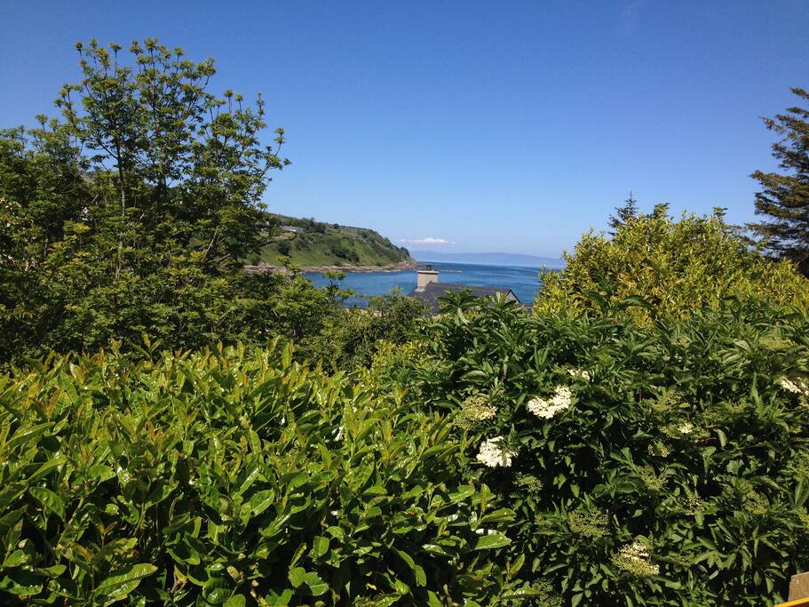 View from Ballymacdoe Cottage