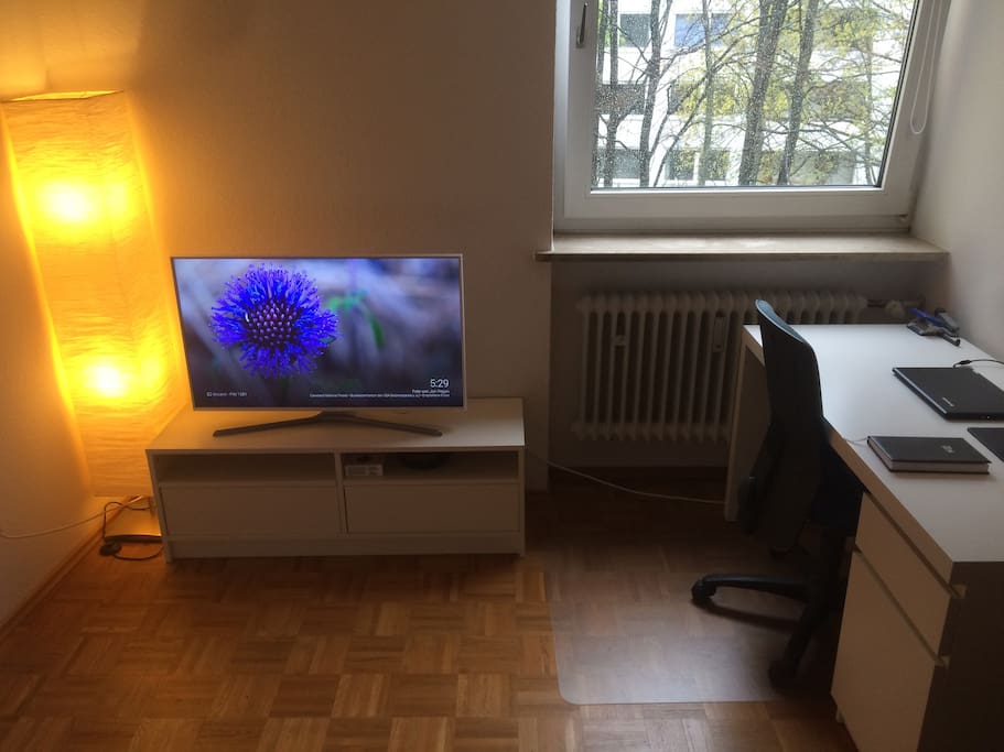 TV mit Netflix und Internetzugang