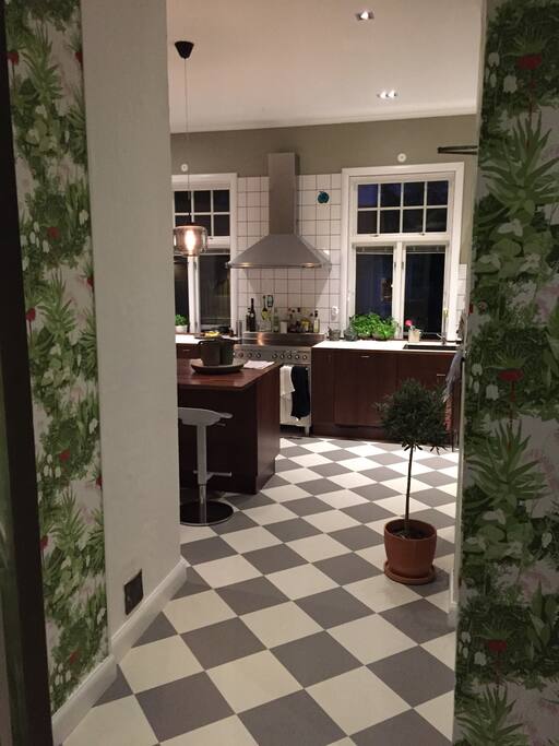 Large, newly-renovated kitchen