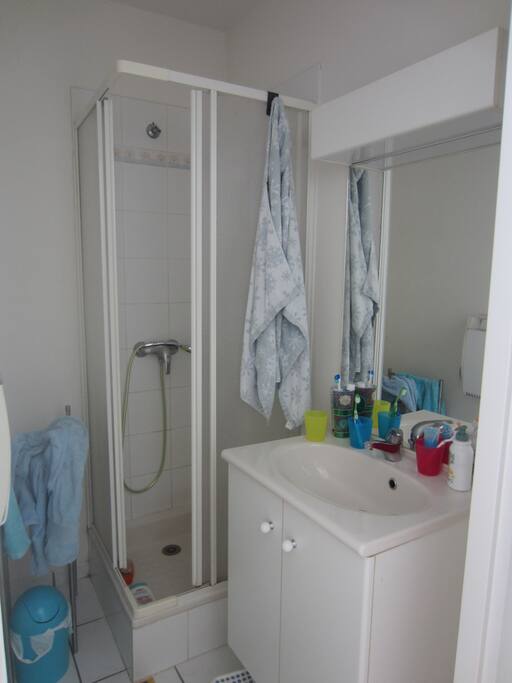 Salle de bains privative avec douche juste à côté de la chambre. WC privatif également sur le palier.