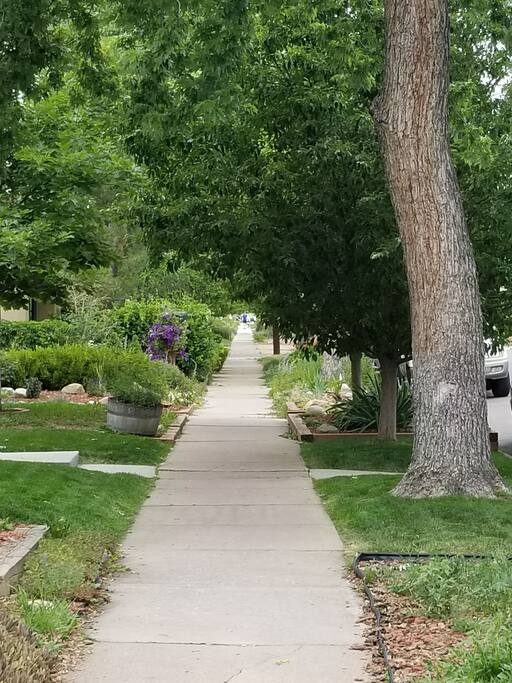 Who doesn't love walking down streets like this?