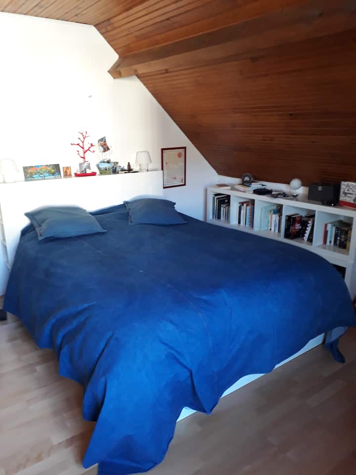 Recámara 5