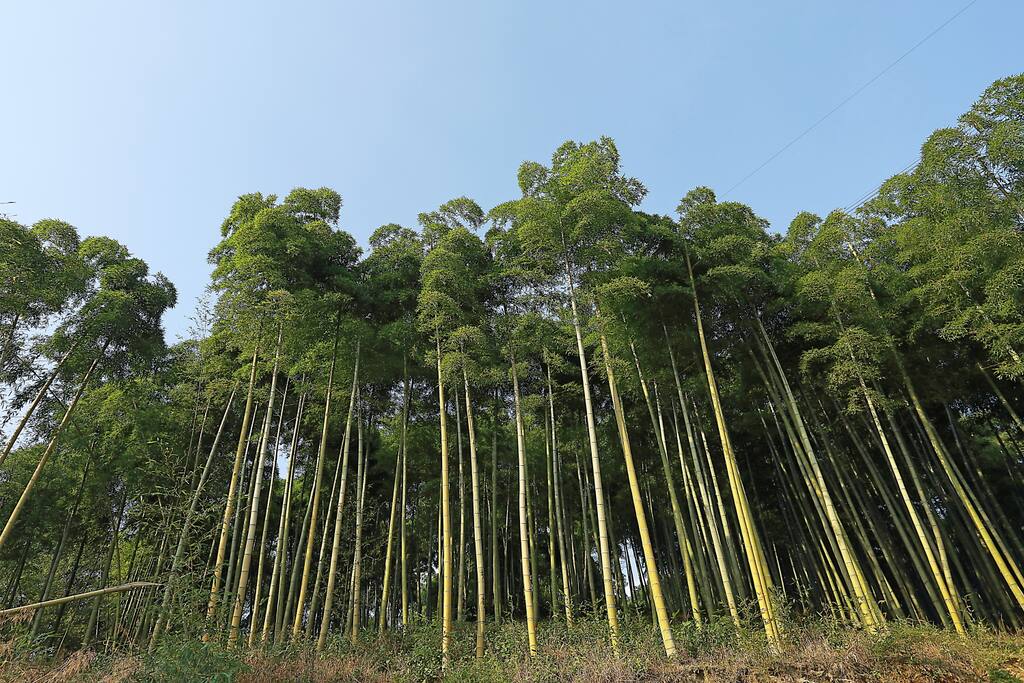 后山