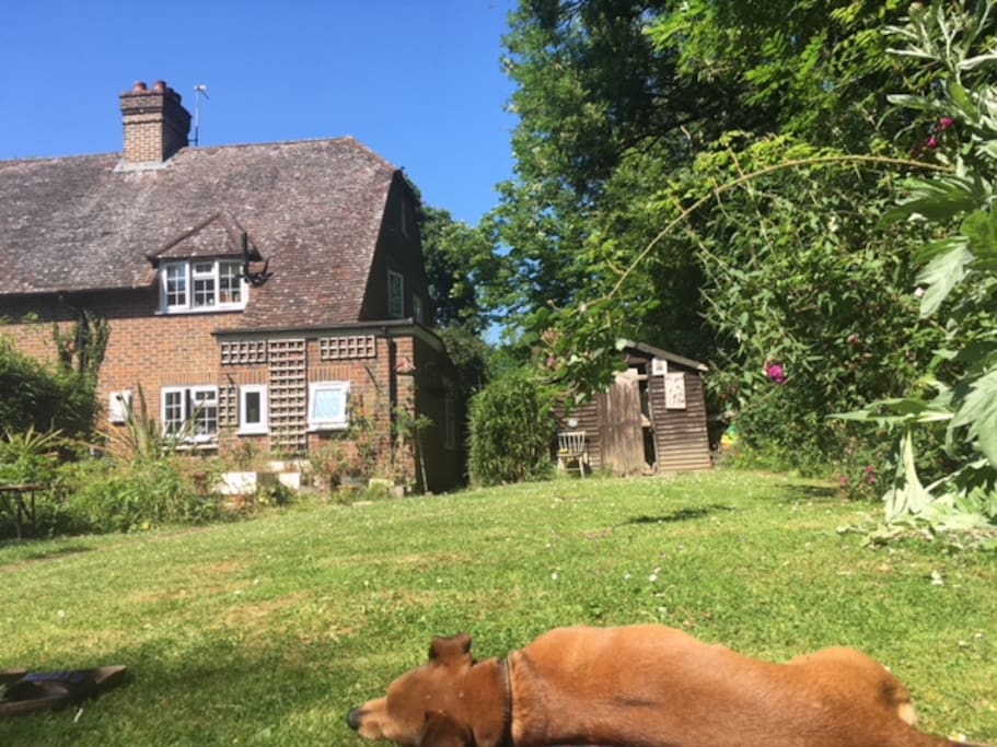 the English country garden perfect for lazy days