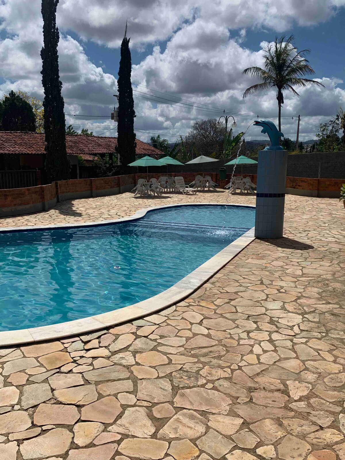 A clear swimming pool is surrounded by a stone patio, featuring lounge chairs and umbrellas for shade. Tall trees and a palm provide greenery in the background, while a decorative dolphin statue adds a unique touch to the pool area.