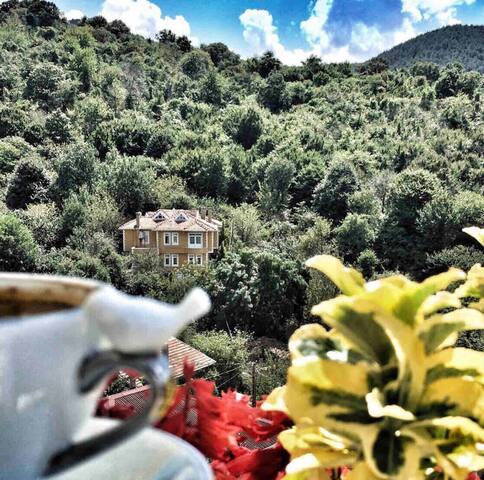 Doğa’nın içinde huzur bulabileceğiniz rahat bir ev gallery image 5