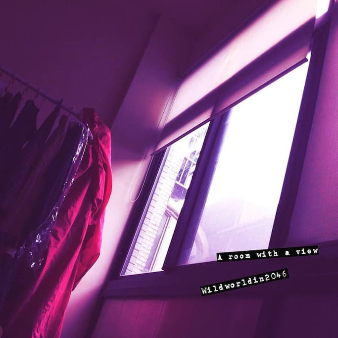 a lot of lights cause my big windows..