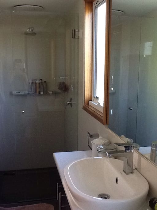 Contemporary renovated ensuite, with modern provisions.
