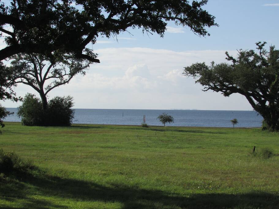 View from Front Porch!!