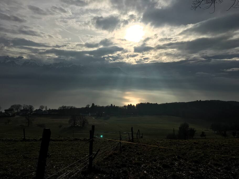 beautiful walks nearby
