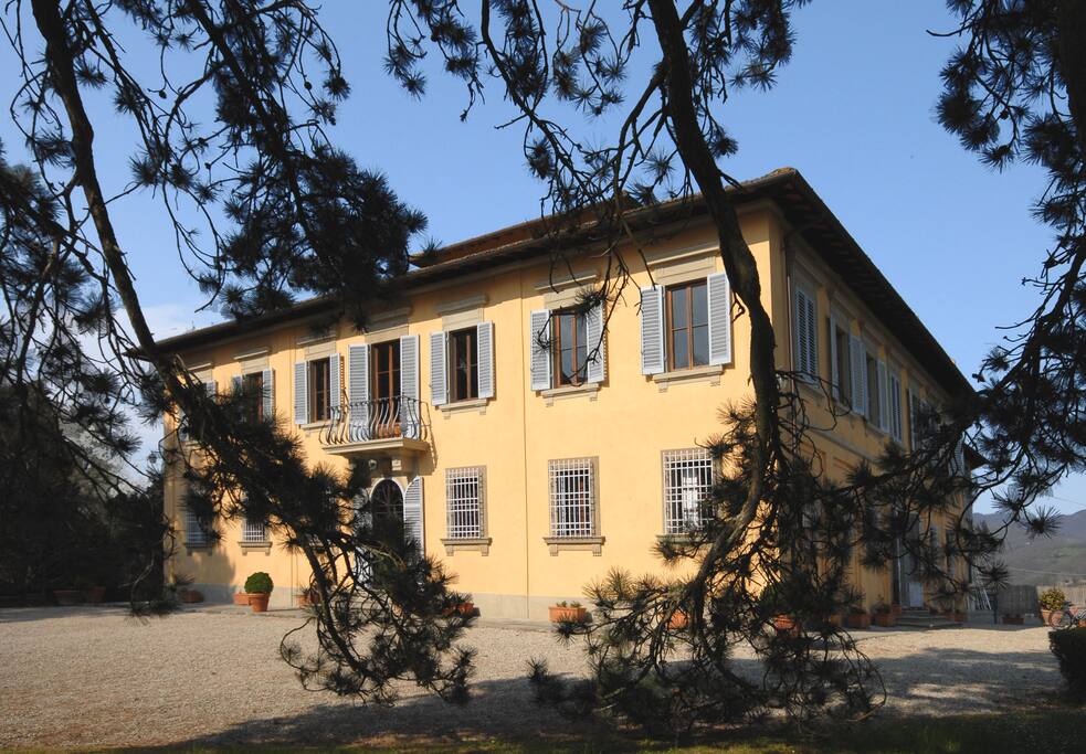 Side view