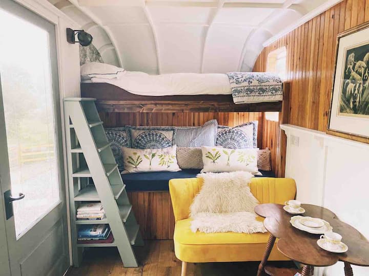 Upper king size bed and lower single bed 