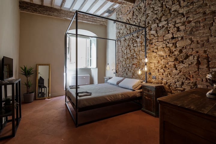 The view of the Medici.