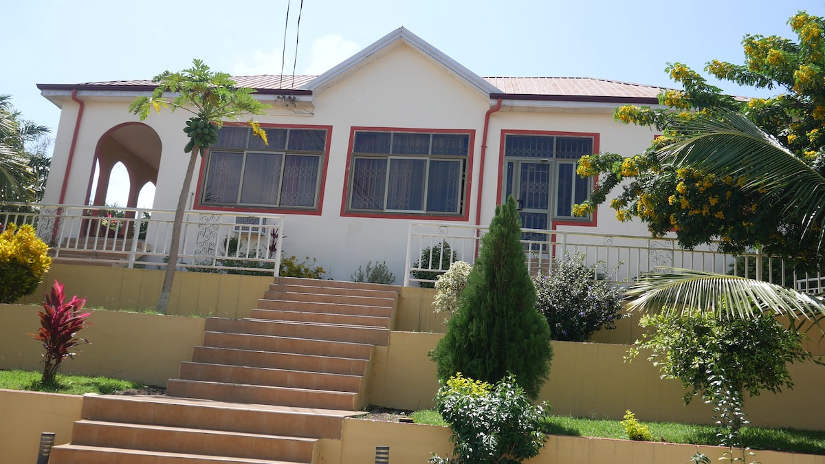 The exterior of the guest house displays a colorful facade with large windows and a welcoming porch. A series of steps leads up to the entrance, flanked by lush greenery and vibrant plants, creating an inviting atmosphere surrounded by nature.