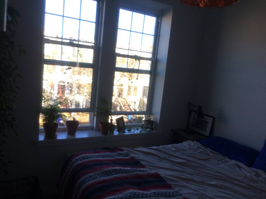 Another look at the bedroom.