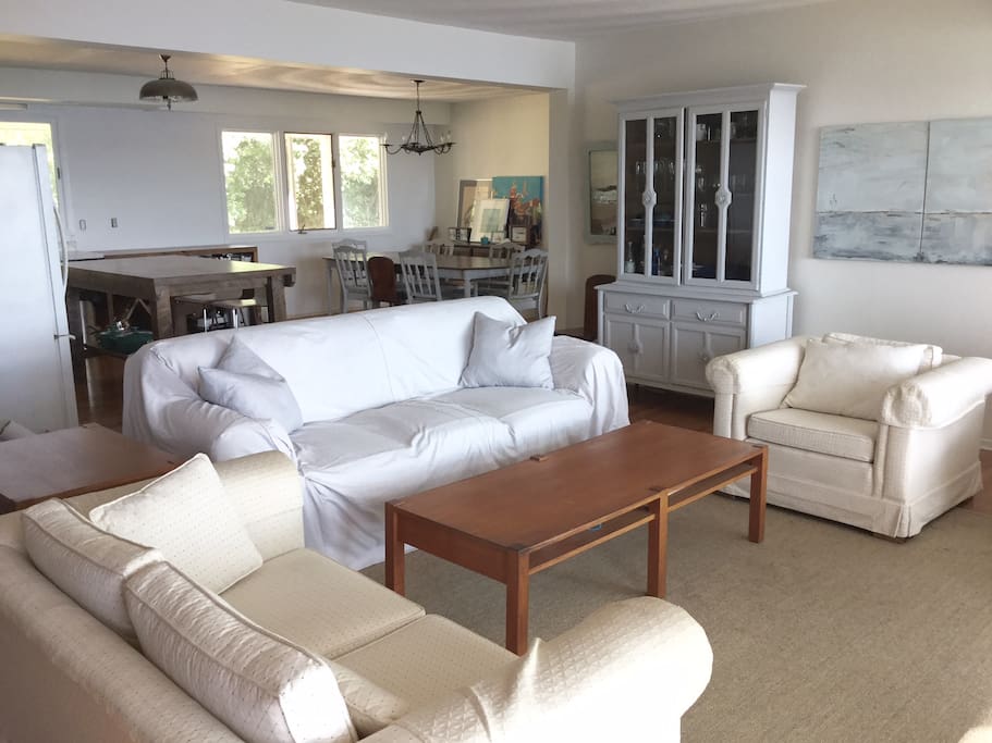 Open concept main level - Living / Kitchen / Dining