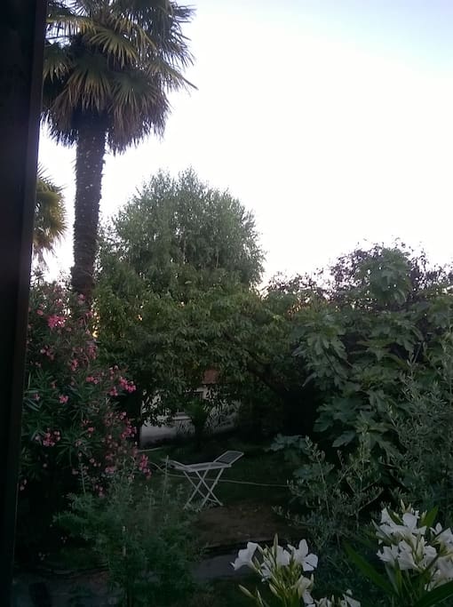 Vue depuis le salon côté jardin