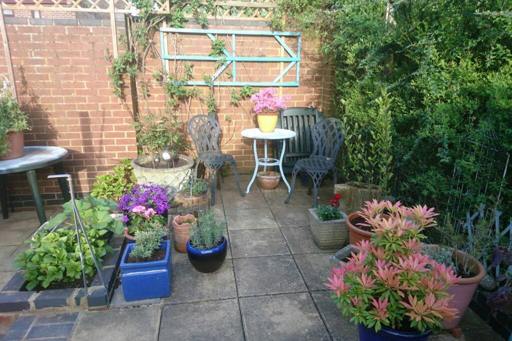 South facing walled garden
