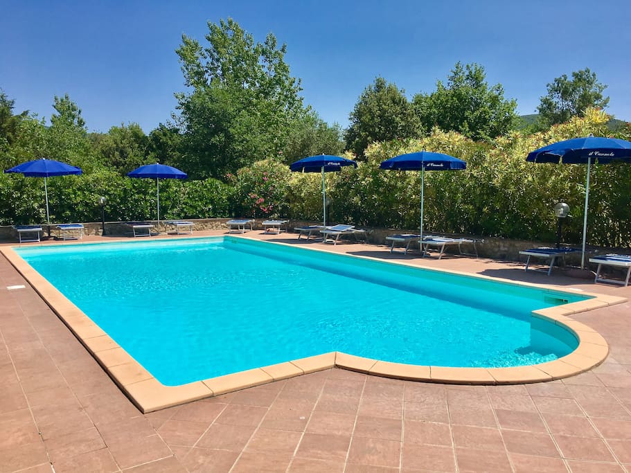 pool and solarium zone