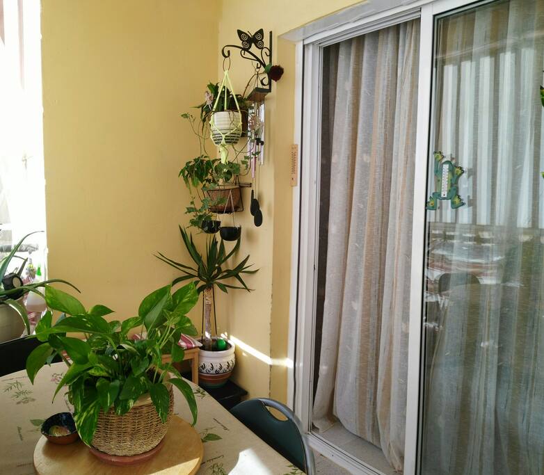 Balcony for meals and relax