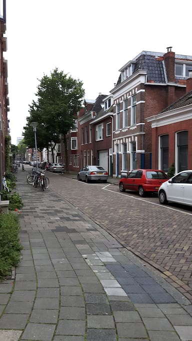 Quiet street in the middle of the center.