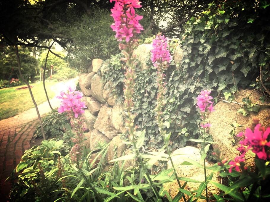 Garden views