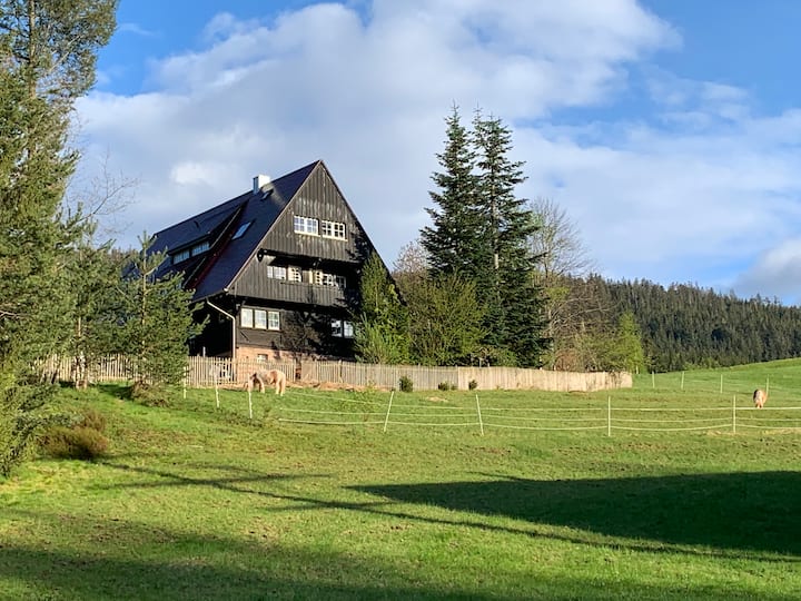 Apartment in the forest, owl's nest in idyllic forest house