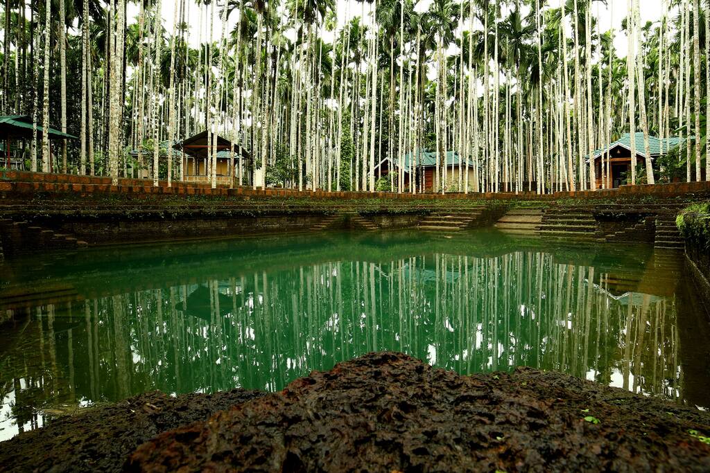 300 years old pool