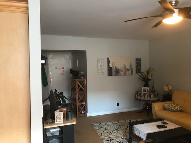 A sunny room in wonderful Mineola
