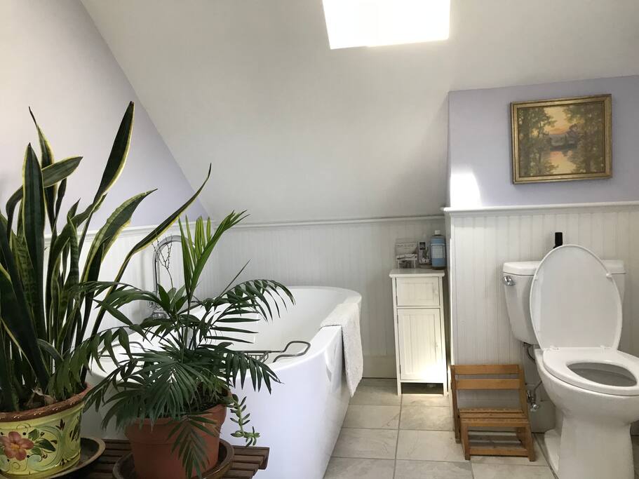 6 foot freestanding tub!
