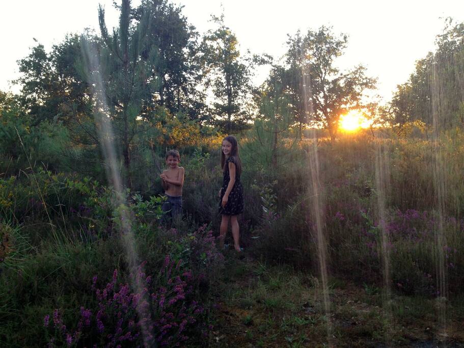 Bon Vivant Backyard
