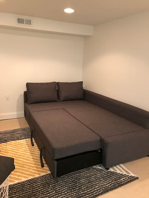 Couch sleeps 2