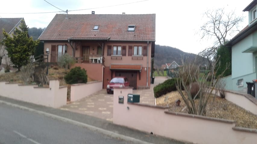 Studio en plein vignoble alsacien