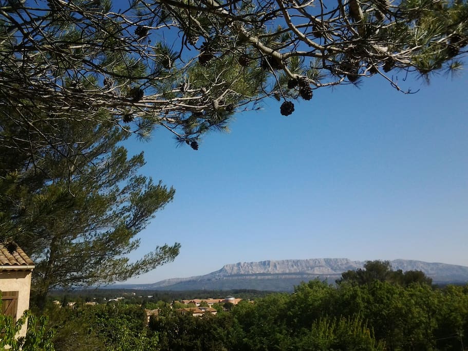 en toile de fond, le village de Gréasque et la montagne Sainte Victoire chère à Paul Cezanne....