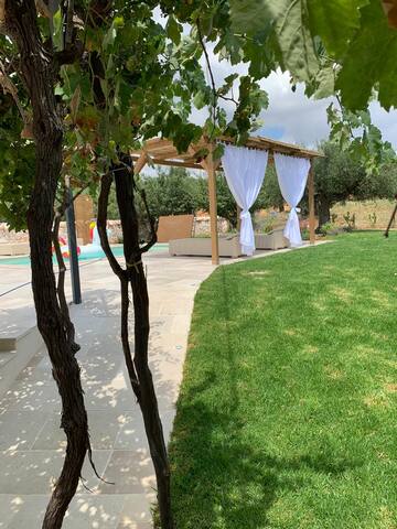 Trullo Valle d’Itria – Alberobello gallery image 4