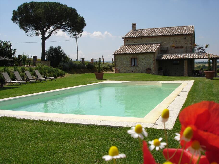 The House & Pool
